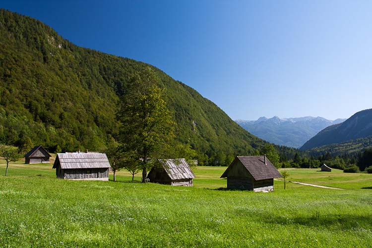 Lo mejor de Eslovenia