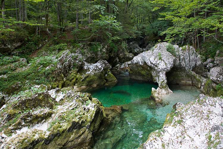 Descubre Eslovenia